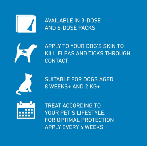FRONTLINE Spot On Flea & Tick Treatment for Medium Dog (10-20kg) 6 Pipettes