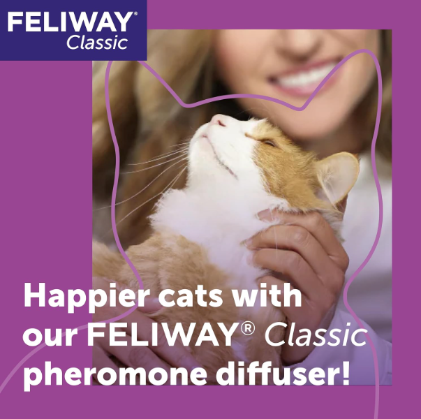 FELIWAY Classic 30 Day Cat Calming Odourless Refill for Pheromone Diffuser, 48ml