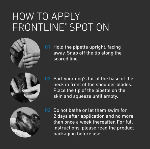 FRONTLINE Spot On Flea & Tick Treatment for Large Dog (20-40kg) 6 Pipettes