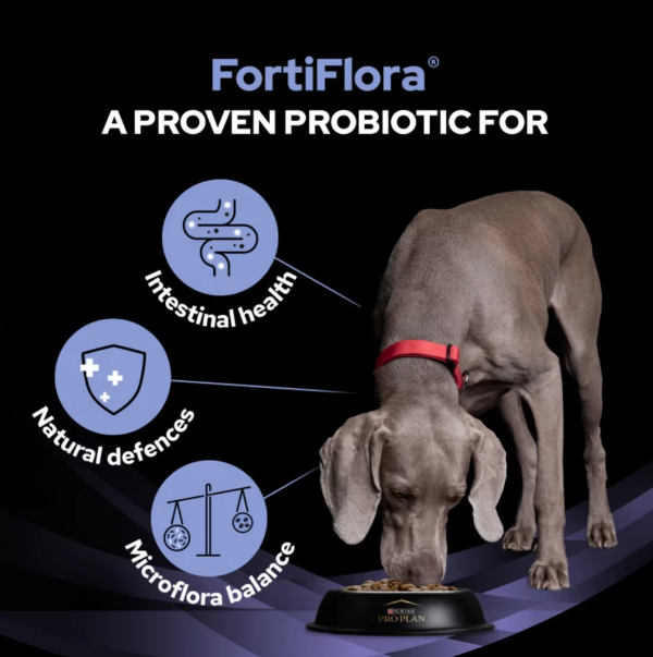 PRO Plan Vet Canine FORTIFLORA PROBIOTICO 30X1GR