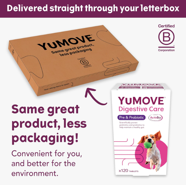 2 Pack of Yumove Digestive Care Pre and Probiotic For All Dogs | 240 Tablets