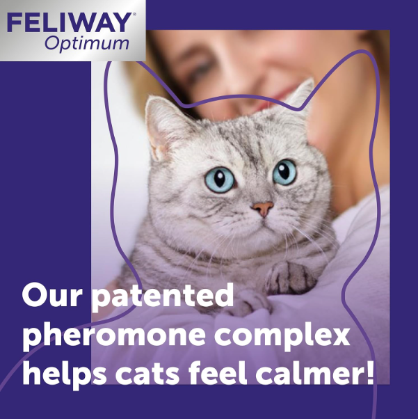 FELIWAY Optimum 30 Day Cat Calming Odourless Plug In Pheromone Diffuser Starter Kit, 48ml -