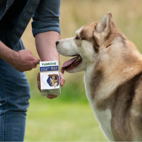 2-Pack of YuMOVE Senior Dog MAX Strength Joint Supplement -Total 240 Tablets