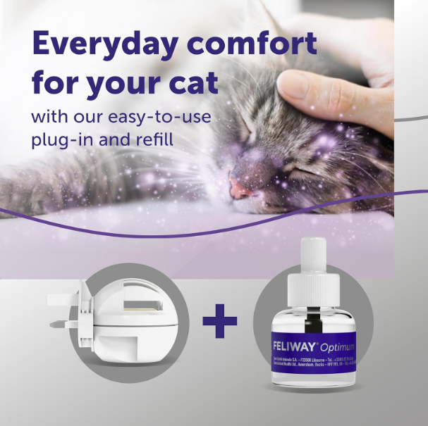FELIWAY Optimum 30 Day Cat Calming Odourless Refill for Pheromone Diffuser, 48ml