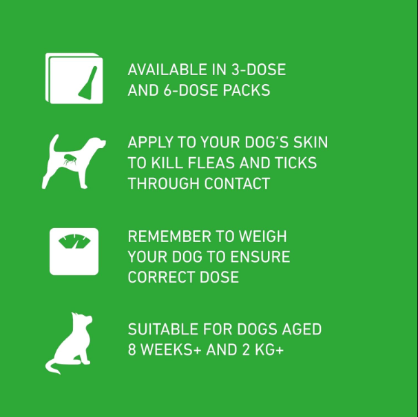 FRONTLINE Plus Flea & Tick Treatment for Medium Dogs - 6 Pipettes