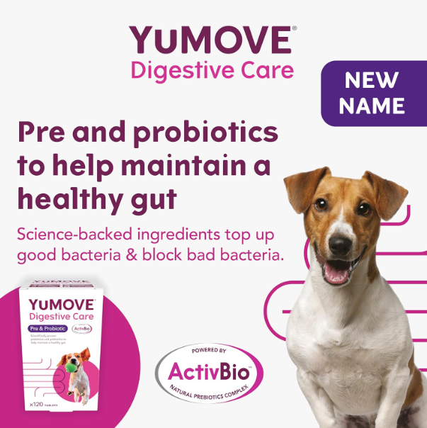 YuMOVE Digestive Care, Dog Pre and Probiotics Supplement for Gut Health, Digestive Support for All Ages and Breeds, 120 Tablets - Eco Friendly and Letter Box Ready Packaging