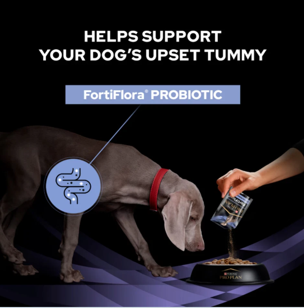 PRO Plan Vet Canine FORTIFLORA PROBIOTICO 30X1GR