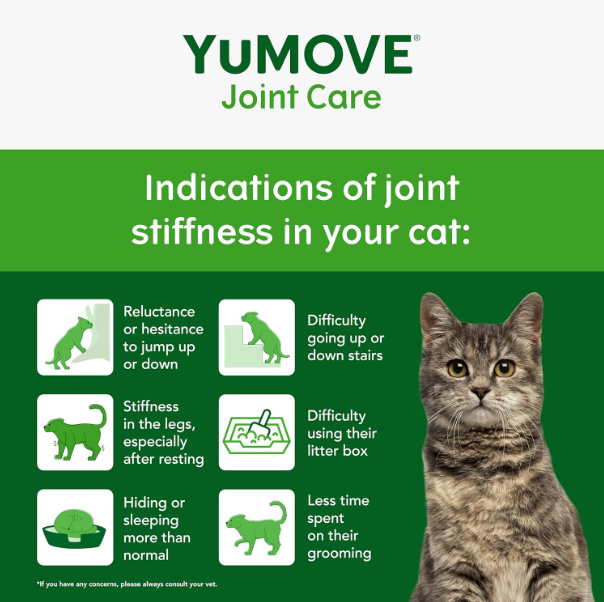 YuMOVE Senior Cat Joint Supplement for Joint Care & Joint Aid, for Older, Stiff Cats with Glucosamine, Chondroitin & Green Lipped Mussel, 60 Capsules
