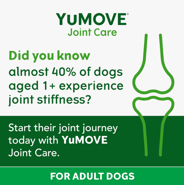 YuMOVE Joint Supplement for Adult Dogs (6–8 Years) – 120 Tablets | Hip & Joint Support