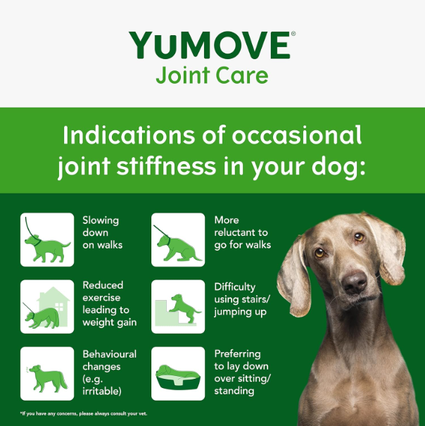 YuMOVE Joint Supplement for Adult Dogs (6–8 Years) – 120 Tablets | Hip & Joint Support