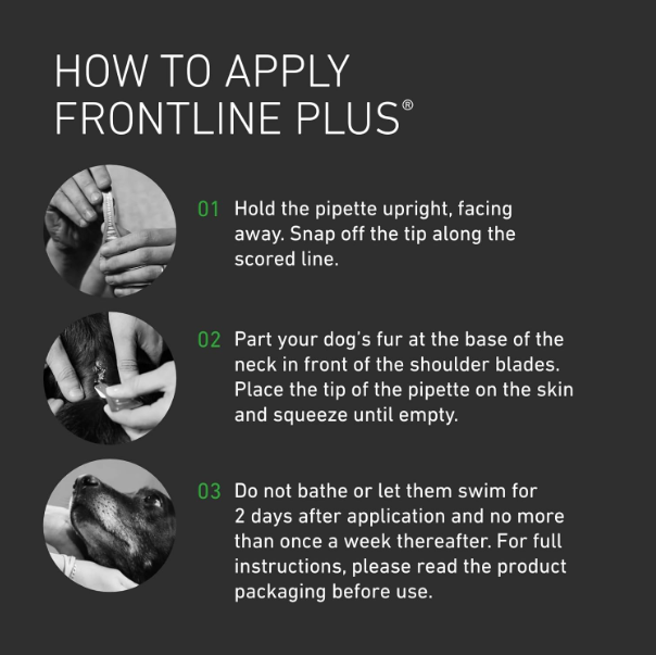 FRONTLINE Plus Flea & Tick Treatment for Large Dogs - 6 Pipettes
