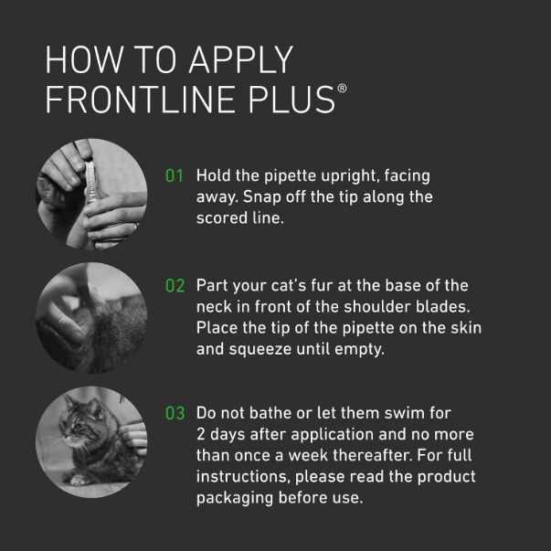 FRONTLINE Plus Flea & Tick Treatment for Cats and Ferrets - 3 Pipettes