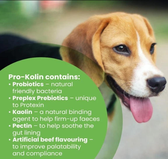 Protexin Pro-Kolin for Dogs and Cats Probiotic Paste and Syringe,60ml