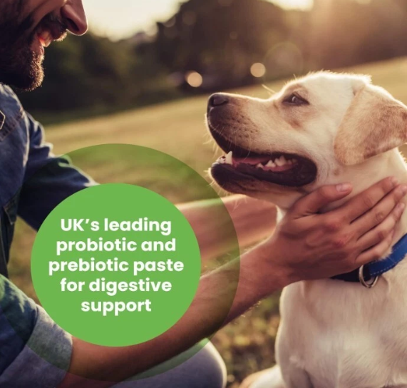 Protexin Pro-Kolin for Dogs and Cats Probiotic Paste and Syringe,60ml