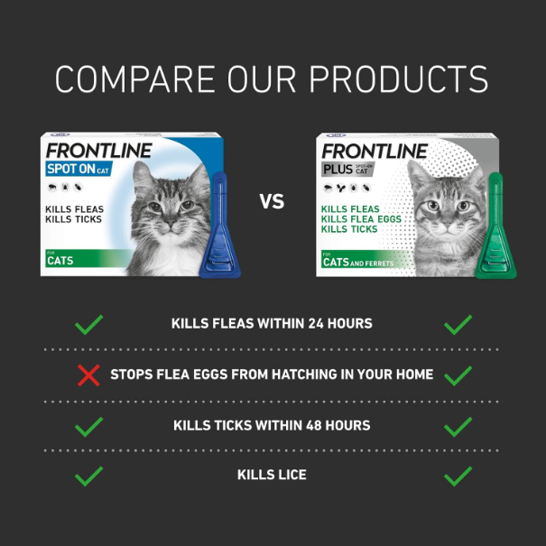 FRONTLINE Spot On Flea & Tick Treatment for Cats - 3 Pipettes
