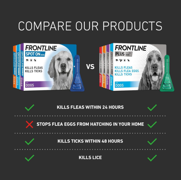 FRONTLINE Spot On Flea & Tick Treatment for Large Dog (20-40kg) 6 Pipettes