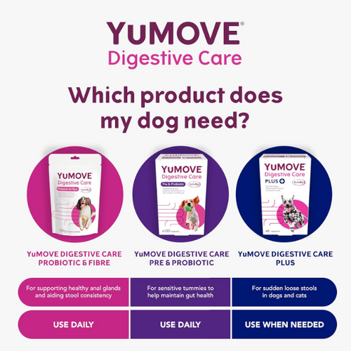 2 Pack of Yumove Digestive Care Pre and Probiotic For All Dogs | 240 Tablets