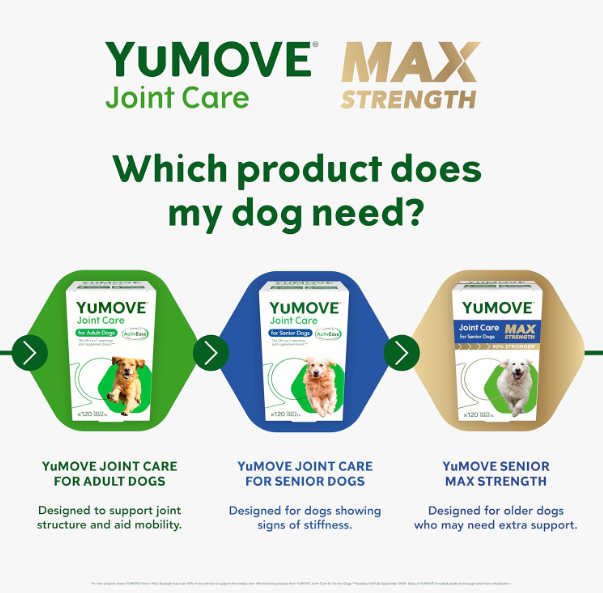 YuMOVE Max Strength Joint Supplement for Senior Dogs, Joint Care with Glucosamine, Chondroitin and Green Lipped Mussel, Age 8+, 120 Tablets