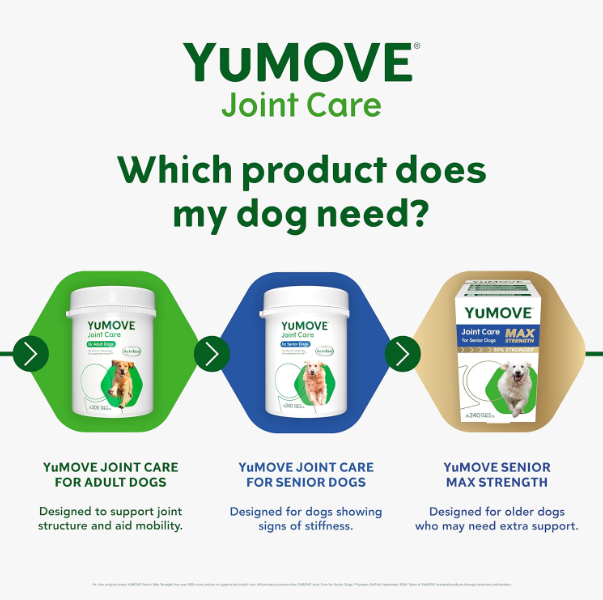 YuMOVE Joint Supplement for Dogs, Essential Dog Hip and Joint Aid, for Stiff Adult Dogs with Glucosamine, Chondroitin & Green Lipped Mussel, Aged 6 to 8 Years, 300 Tablets