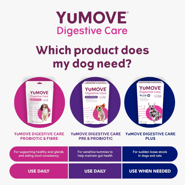 YuMOVE Digestive Care, Dog Pre and Probiotics Supplement for Gut Health, Digestive Support for All Ages and Breeds, 120 Tablets - Eco Friendly and Letter Box Ready Packaging