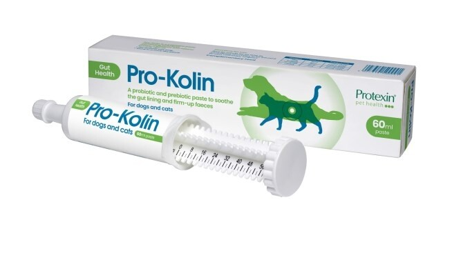 Protexin Pro-Kolin for Dogs and Cats Probiotic Paste and Syringe,60ml