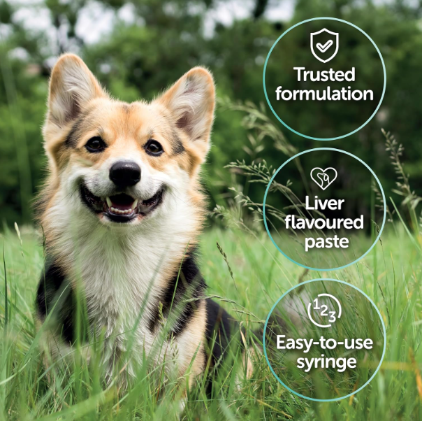 Protexin Veterinary Pro-Kolin Advanced Paste for Dogs Advanced for Dogs, 60 ml