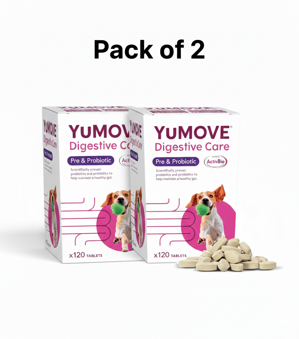 2 Pack of Yumove Digestive Care Pre and Probiotic For All Dogs | 240 Tablets