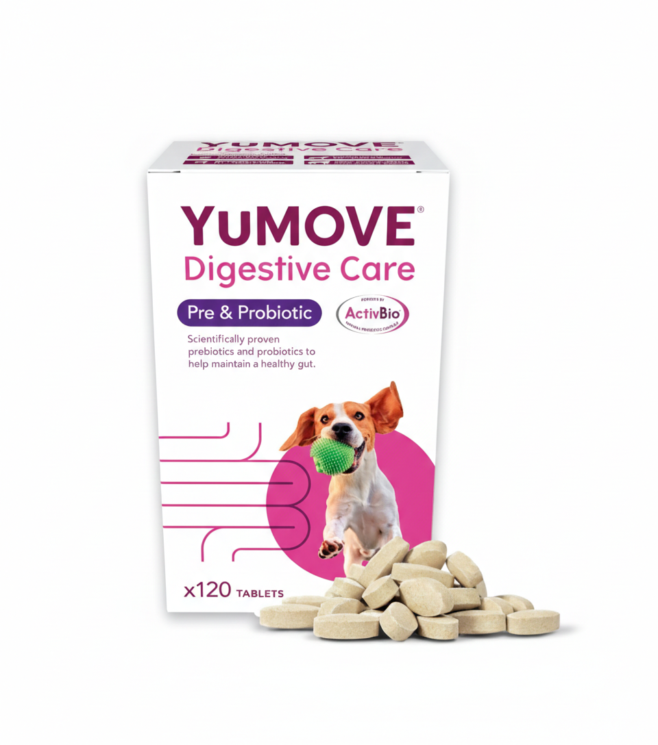 YuMOVE Digestive Care, Dog Pre and Probiotics Supplement for Gut Health, Digestive Support for All Ages and Breeds, 120 Tablets - Eco Friendly and Letter Box Ready Packaging