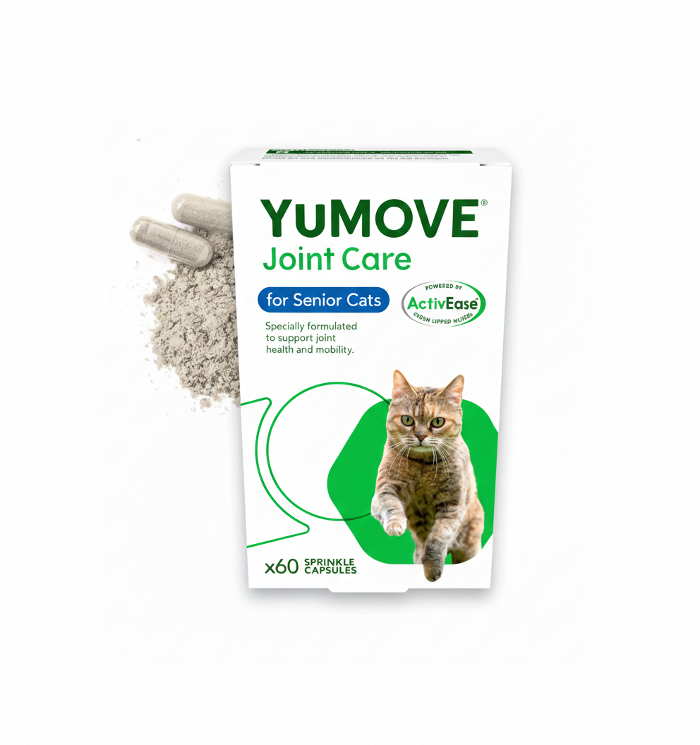 YuMOVE Senior Cat Joint Supplement for Joint Care & Joint Aid, for Older, Stiff Cats with Glucosamine, Chondroitin & Green Lipped Mussel, 60 Capsules