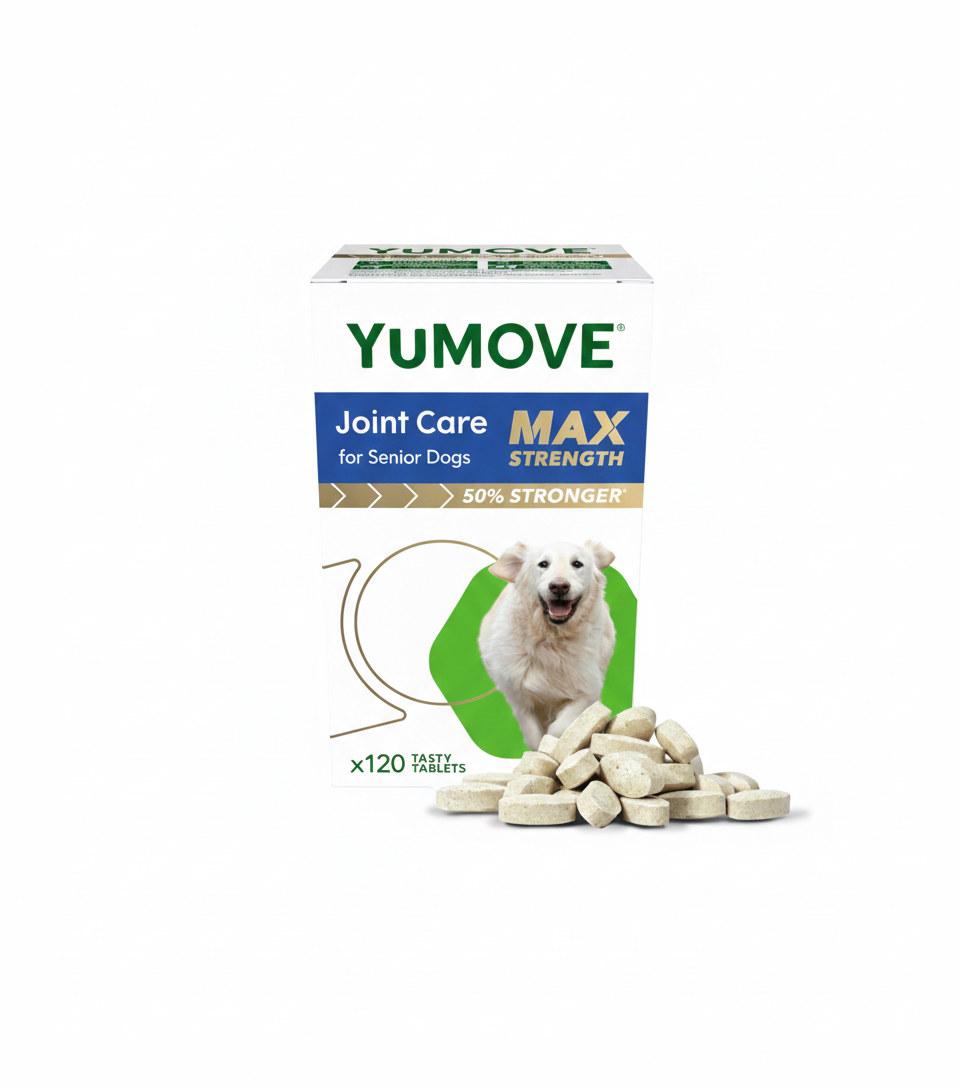 YuMOVE Max Strength Joint Supplement for Senior Dogs, Joint Care with Glucosamine, Chondroitin and Green Lipped Mussel, Age 8+, 120 Tablets