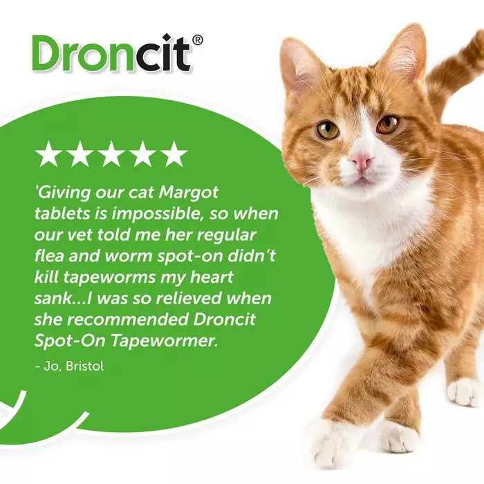 Droncit Spot-On Tapewormer for Cats 1KG | 4 Tubes
