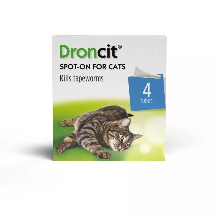 Droncit Spot-On Tapewormer for Cats 1KG | 4 Tubes