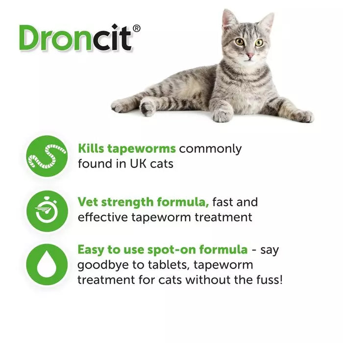 Droncit Spot-On Tapewormer for Cats 1KG | 4 Tubes