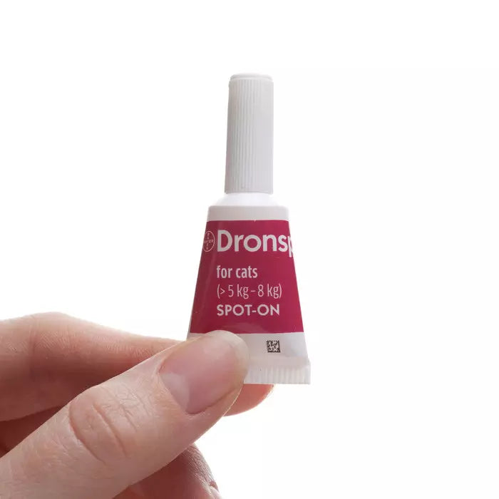 Dronspot Spot-On Wormer for Large Cats (5–8kg)