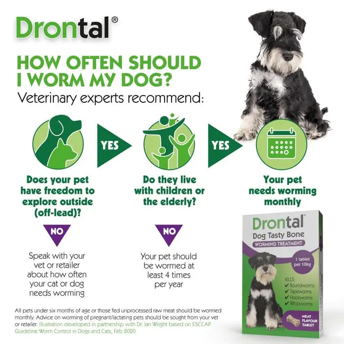 Drontal Tasty Bone Wormer Tablets for Small & Medium Dogs (2 to 20kg)
