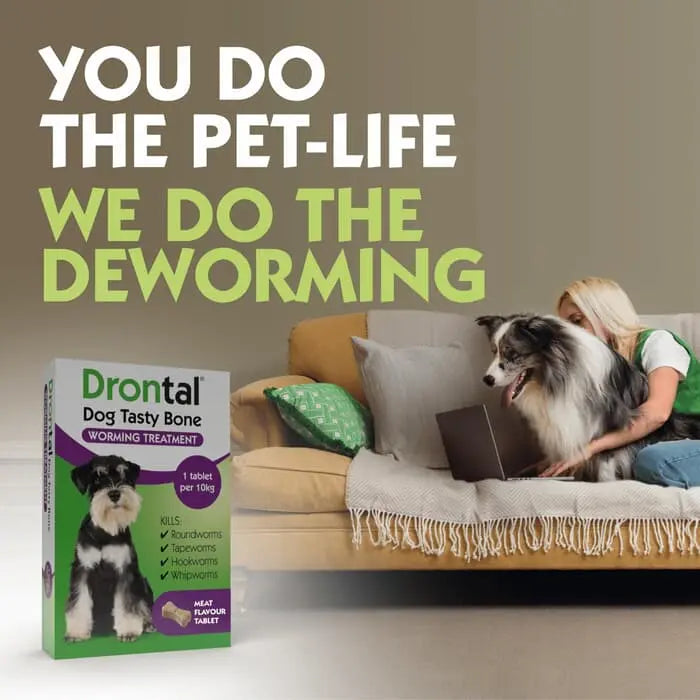 Drontal Tasty Bone Wormer Tablets for Small & Medium Dogs (2 to 20kg)