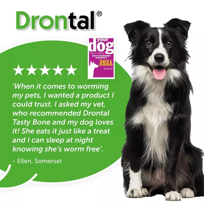 Drontal Tasty Bone XL Wormer Tablets for Large Dogs (Over 20kg)