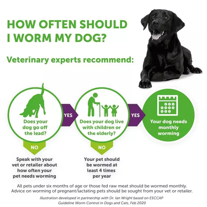 Drontal Tasty Bone XL Wormer Tablets for Large Dogs (Over 20kg)