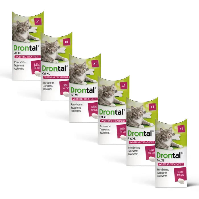 Drontal Wormer Tablets for Large Cats (Over 4kg)