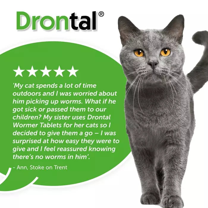 Drontal Wormer Tablets for Large Cats (Over 4kg)