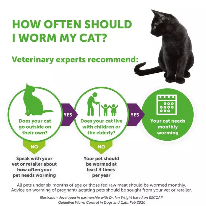 Drontal Wormer Tablets for Large Cats (Over 4kg)