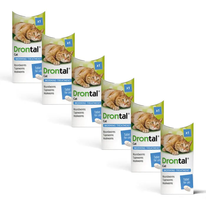 Drontal Wormer Tablets for Small & Medium Cats (Under 4kg)