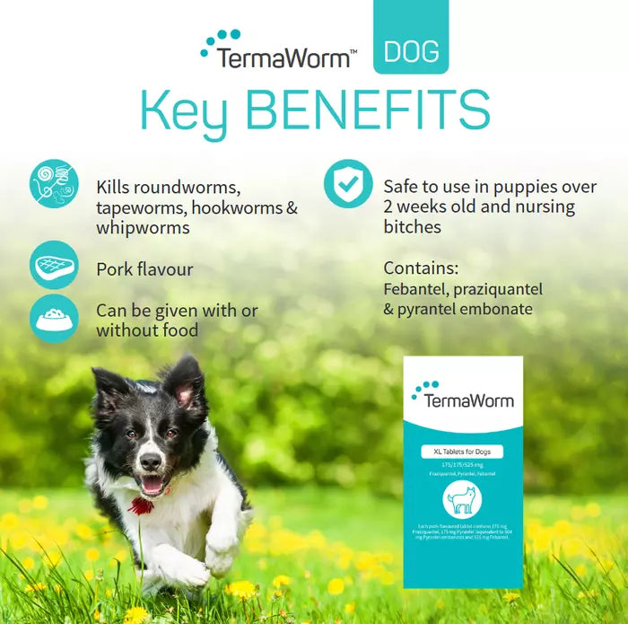 TermaWorm™ Deworming Tablets for Dogs